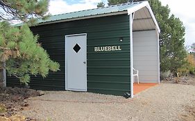 Bluebell Cabin, Glamour Cabin Camping, Stunning Night Sky